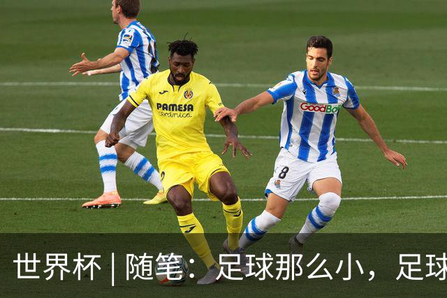 世界杯 | 随笔：足球那么小，足球这么大