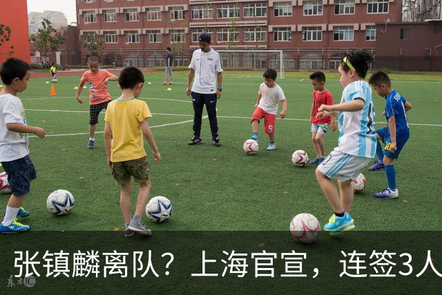张镇麟离队？上海官宣，连签3人，1顶薪合同+1个C类+1个B类