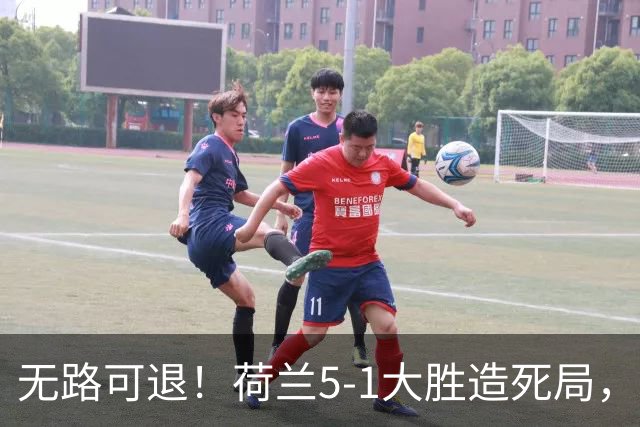 无路可退！荷兰5-1大胜造死局，日本队陷入两头堵绝境：不赢球直接出局