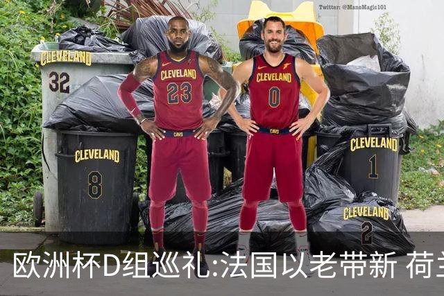 欧洲杯D组巡礼:法国以老带新 荷兰豪华后防
