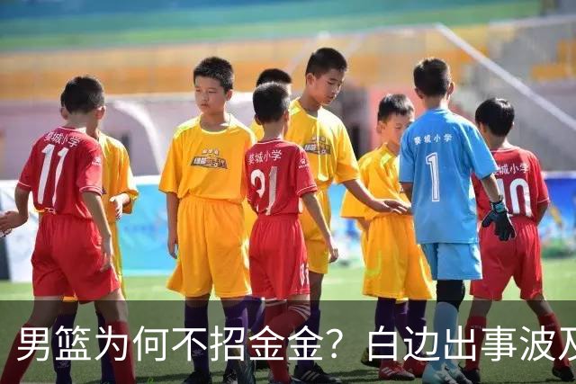 男篮为何不招金金？白边出事波及张镇麟 2点原因让人生疑